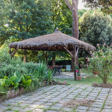Agriturismo Artisti Del Cavallo Ареццо Экстерьер фото