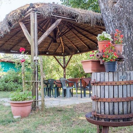 Agriturismo Artisti Del Cavallo Ареццо Экстерьер фото