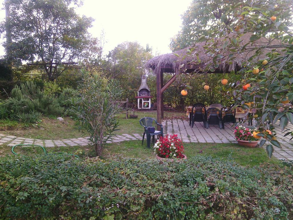Agriturismo Artisti Del Cavallo Ареццо Экстерьер фото