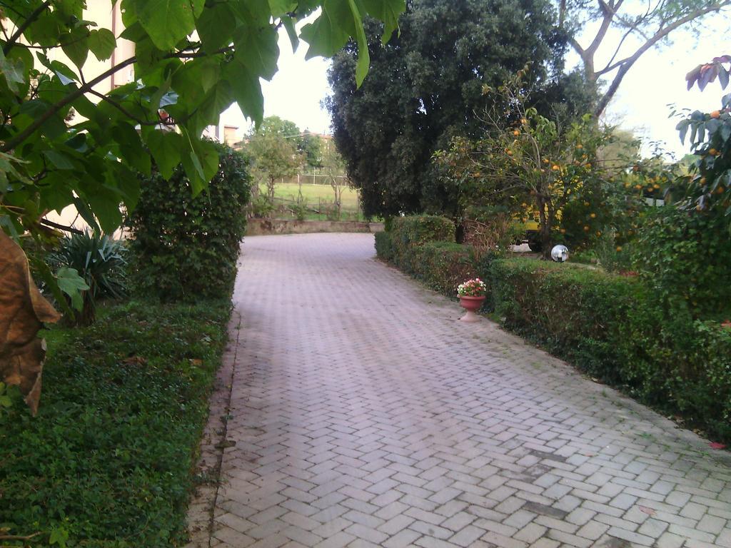 Agriturismo Artisti Del Cavallo Ареццо Экстерьер фото