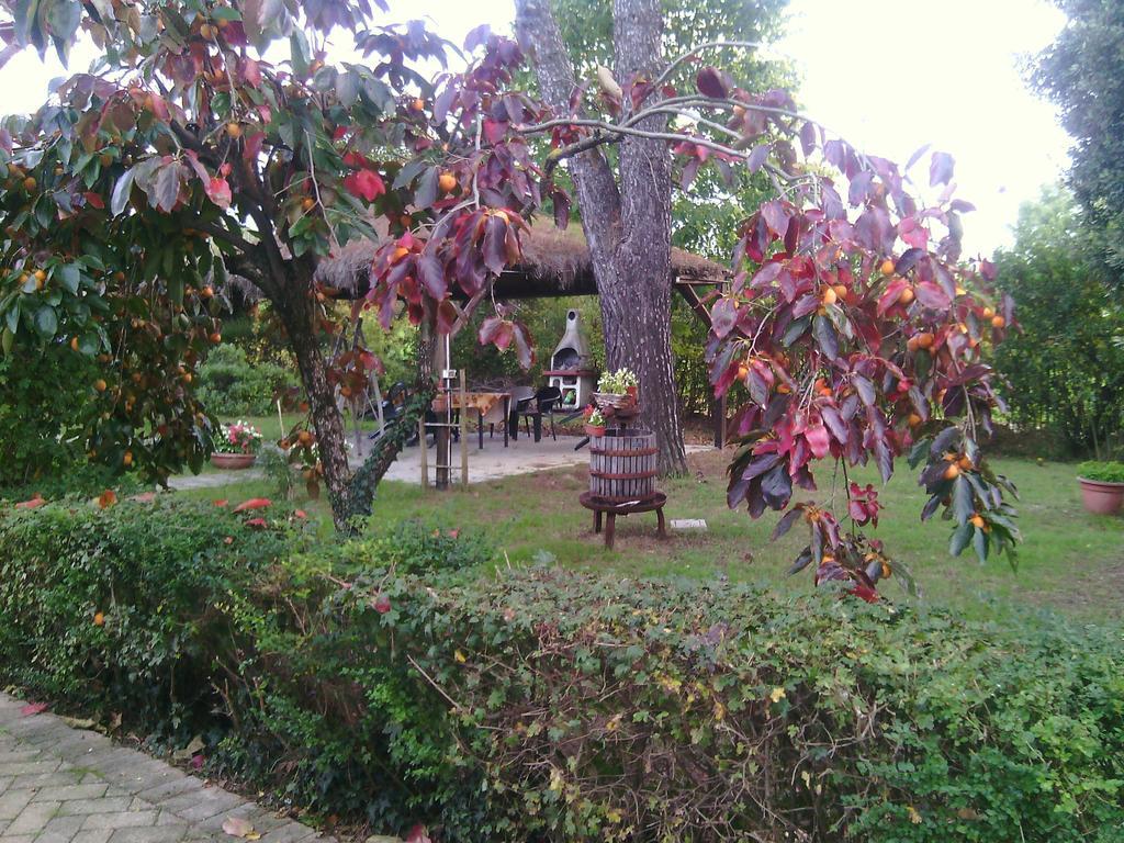 Agriturismo Artisti Del Cavallo Ареццо Экстерьер фото