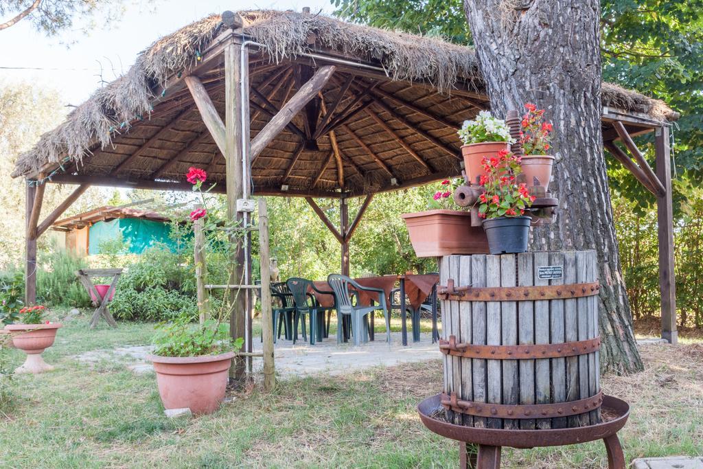 Agriturismo Artisti Del Cavallo Ареццо Экстерьер фото